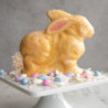 Moule Lapin 3D